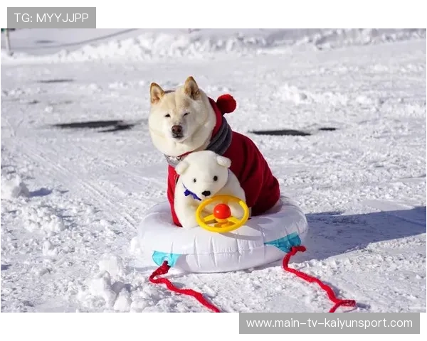 大谷翔平晒出爱犬新照！远征多伦多一同见证封王时刻，大谷翔平2021数据