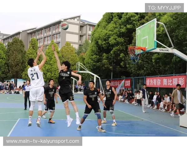 篮球运动在中国家庭体育消费中的决策者性别差异研究，篮球的社会需求